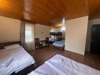 Kazbek view Hostel - Kazbegi - 6