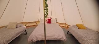 Cozy Dog Friendly Hot Tent With Log Burner & Logs - Llanfairpwllgwyngyll - 3