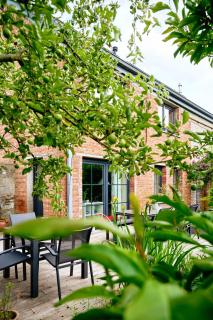 B&B Destiny - Maldegem - 9