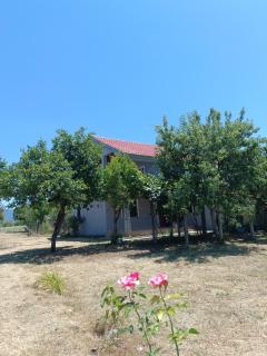 Brankolari Hostel - Polisi i Vogël - 3