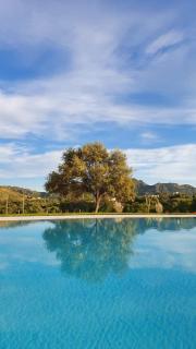 Azienda Multifunzionale S'Ozastro - Santa Marinella - 8