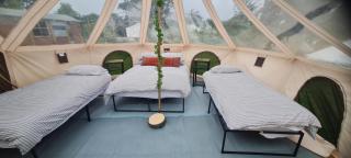 Star Gazing Cozy Hot Tent with Log Burner - Llanfairpwllgwyngyll - 5