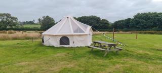 Star Gazing Cozy Hot Tent with Log Burner - Llanfairpwllgwyngyll - 4