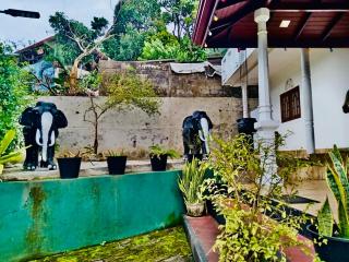 VD Rest Gampola - Gampola - 9