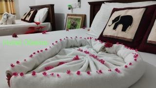 Oleena Home Stay - Habarana - 1
