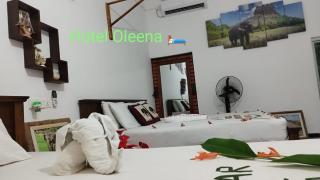 Oleena Home Stay - Habarana - 4