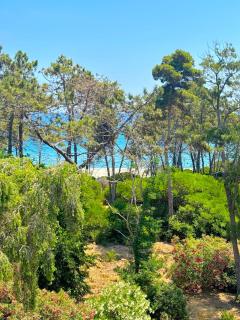Villa Padulone - Aleria - 6