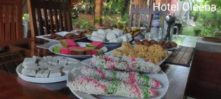 Oleena Home Stay - Habarana - 7
