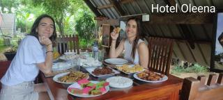 Oleena Home Stay - Habarana - 8