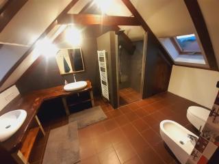 Statek "Two brooms", Apartment - Mirkovice - 9