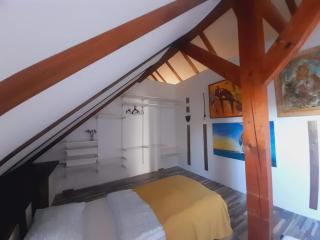Statek "Two brooms", Apartment - Mirkovice - 8