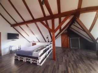 Statek "Two brooms", Apartment - Mirkovice - 6