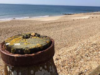 The Barn a seaside studio for one to two people in - South Hayling - 1