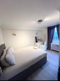 Two bedroom appartment in Khnightsbridge - Londra - 2