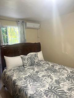 Aristo Oasis - 1