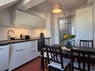Penthouse in the Neustadt - Dresden - 3