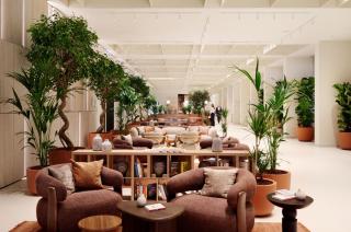 Arba Resort, Valamar Collection - 1