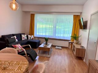 Sunflora Apartment - Bruxelles - 9