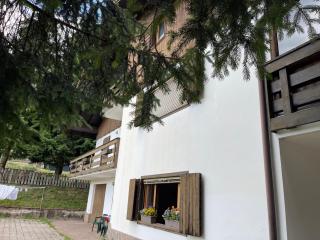 Ca' Virginia - Val di Fassa - 0