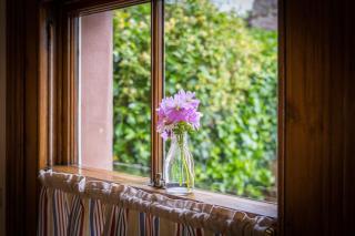 Quince Cottage - Cosy Country Cottage - Clifton - 1
