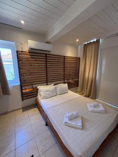 Physis Oikos Beachfront Apartments - Skiathos-Stadt - 9