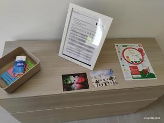 Chiarina's house, 1st floor - Bitetto - 3