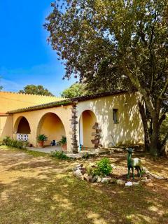 Masia Mimosa - Darnius - 3
