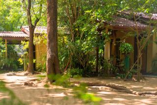 Sigiri Serenity Homestay - Sigiriya - 8