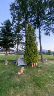 Camping Zakopane Willa Skoczek oferta nie dotyczy noclegu w pokoju ,w namiocie ręczniki woda mineralna , kołdra poduszki lub śpiwory - Zakopane - 2