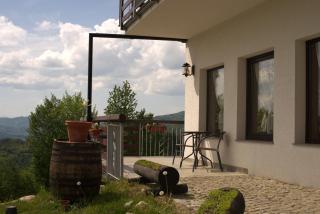 Casa din Codru - Vişeu de Sus - 3