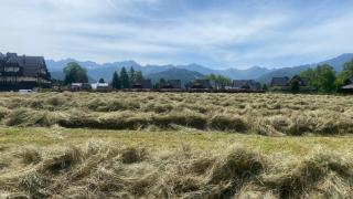 Camping Zakopane Willa Skoczek oferta nie dotyczy noclegu w pokoju ,w namiocie ręczniki woda mineralna , kołdra poduszki lub śpiwory - Zakopane - 5