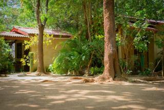 Sigiri Serenity Homestay - Sigiriya - 0
