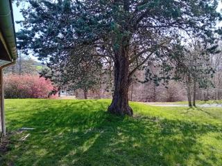 Joli Gîte Fushia Au Bord Du Lac - 8