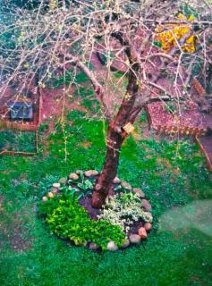 Tadam stayinn - Berlim - 2