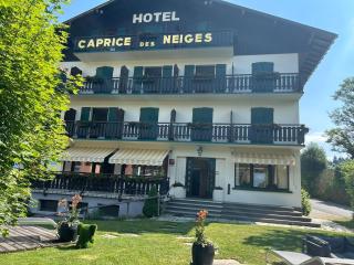 Hôtel Le Caprice Des Neiges Combloux - Combloux - 4