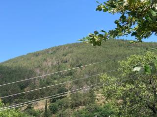 ZEN стая DELUX в Център Сливен - Sliven - 2