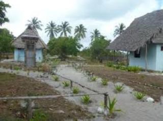 Didimiza Guest House - Utende - 1