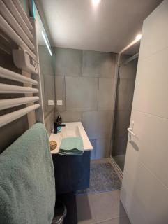 Le chalet d'en haut studio climatisé - Grenoble - 1