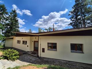 Vilas & Wellness Resort Orlík - Kozárovice - 8