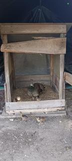 Charmant Mobil home ,Commequiers - Commequiers - 4