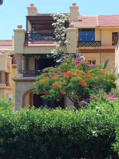 Lazorde bay Sidi Abd El Rahman لازوردى باى apartment - El Alamein - 9