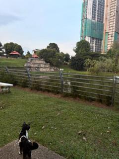 test place - 4