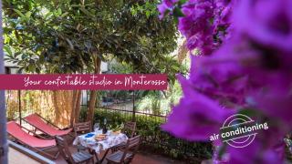 Il Giardino di Ada Ground Floor Studio with AC and Patio - Monterosso al Mare - 0