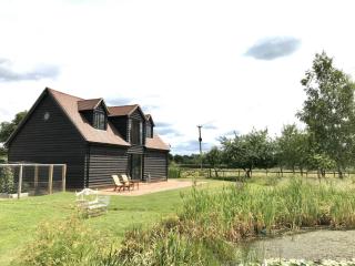 The Lakehouse Apartment - Rudgwick - 4