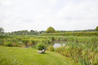 The Lakehouse Apartment - Rudgwick - 3