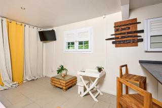 Pymen - Cocon climatisé avec terrasse et jardin - Rivière-Salée - 4