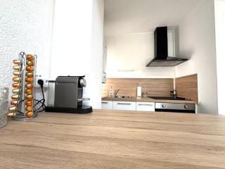 Hyper-Center Duplex Apartment - Vienne - 2