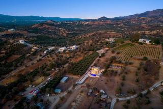 Villa Callistemon - Pitsidia - 8
