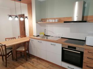 Apartament Alena Oradea - Oradea - 9