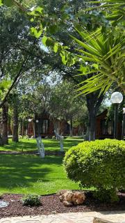 Dolce Vita Luxury Bungalows - Bodrum - 7